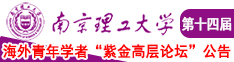 插入逼南京理工大学第十四届海外青年学者紫金论坛诚邀海内外英才！